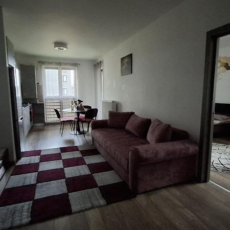 Ludi House Apartment Тиргу-Муреш Екстер'єр фото