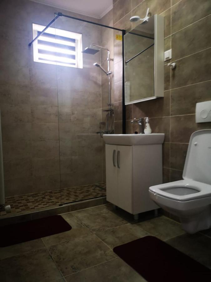 Ludi House Apartment Тиргу-Муреш Екстер'єр фото