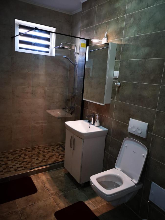 Ludi House Apartment Тиргу-Муреш Екстер'єр фото